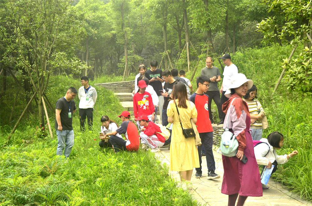 植物辨识.jpg 植物辨识.jpg